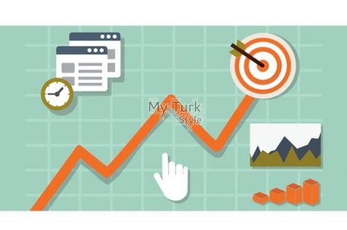 Seo Technics in Turkey