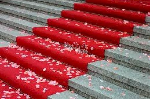 Choosing the Right Digital Marketing Agency