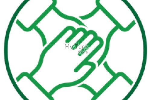 Understanding the Cost of Search Engine Optimization (SEO)